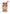 Pokemon Journey Battle Accessories Gift Box (Chinese)