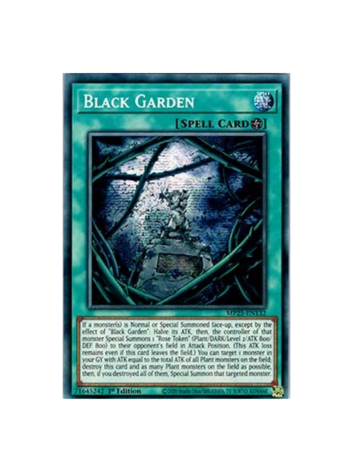 Yu-Gi-Oh! Black Garden MP25 (German)