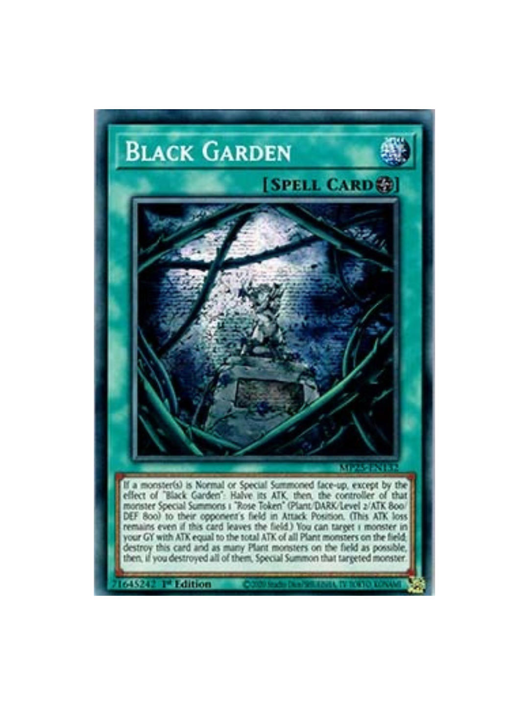 Yu-Gi-Oh! Black Garden MP25 (German)