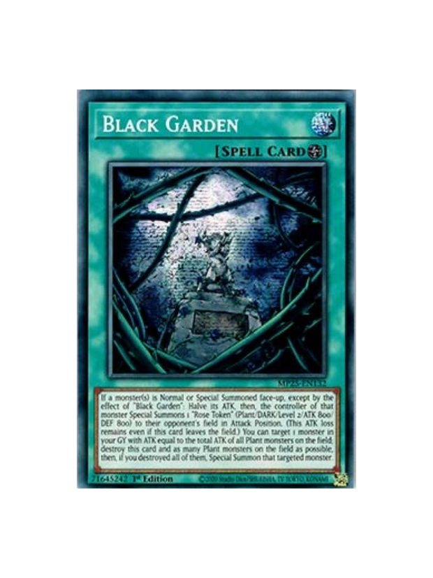 Yu-Gi-Oh! Black Garden MP25 (German)